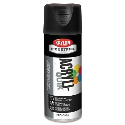 Lacquer Spray Paint: Black, Flat, 16 oz