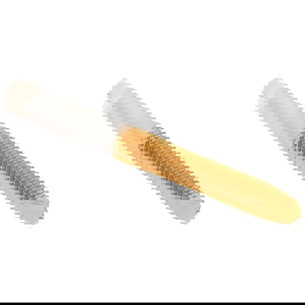 Spiral Point Tap: M6x1.00 Metric Coarse, 2 Flutes, Plug, High Speed Steel, TiN Coated