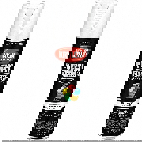 Acrylic Enamel Spray Paint: White, Flat,