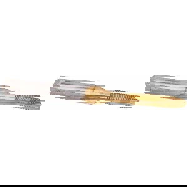 Spiral Point Tap: M2.2 x 0.45, Metric Coarse, 2 Flutes, Plug, High Speed Steel, TiN Finish