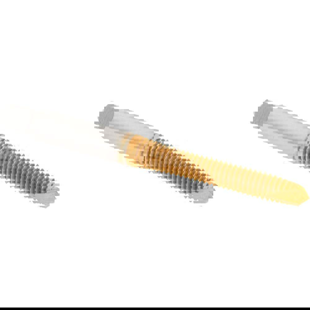 Spiral Point Tap: M6x1.00 Metric Coarse, 2 Flutes, Plug, 6H Class of Fit, High Speed Steel, TiN Coated