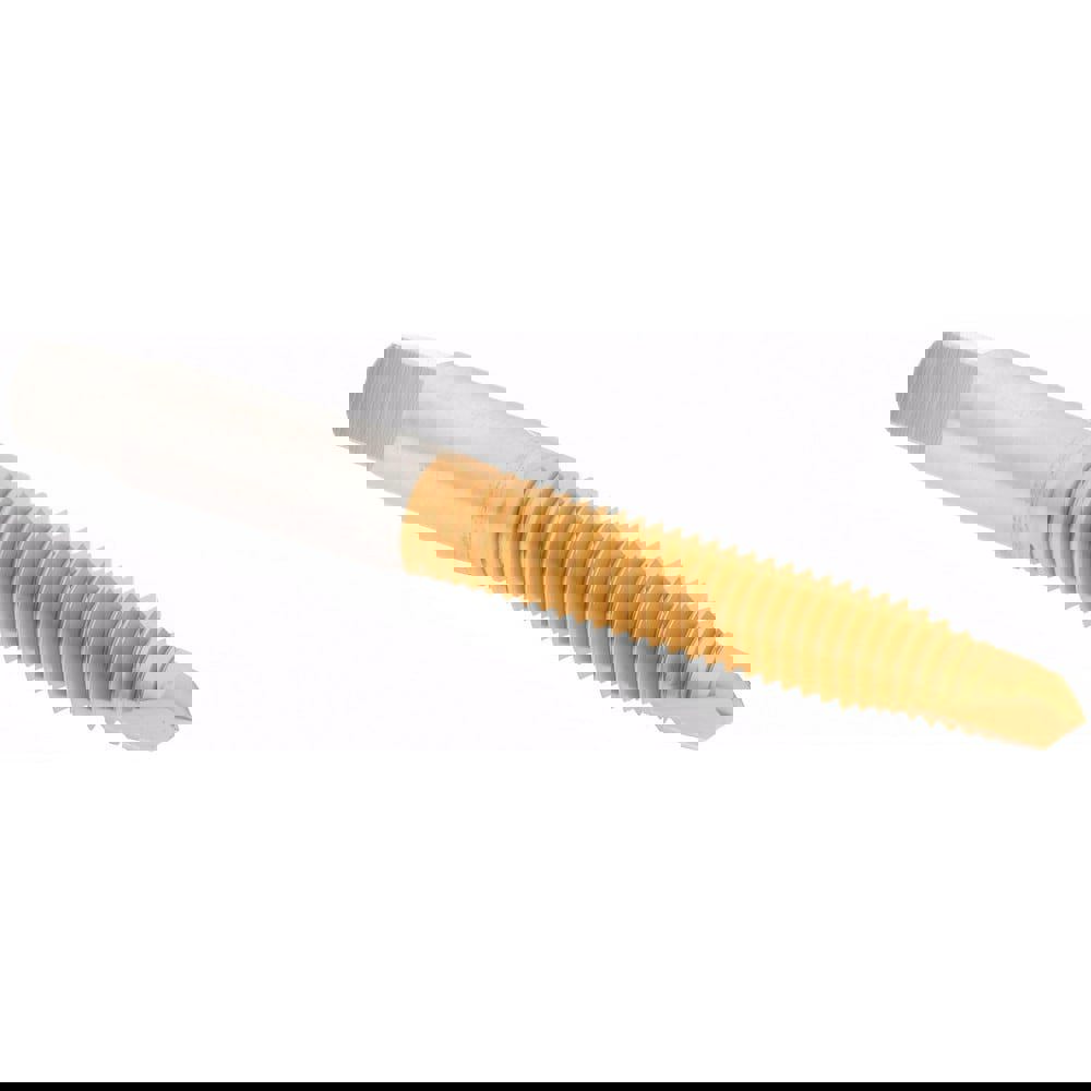 Spiral Point Tap: M8x1.25 Metric Coarse, 2 Flutes, Plug, 6H Class of Fit, High Speed Steel, TiN Coated