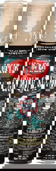 Direct to Plastic Spray Paint: Sand, Flat, 12 oz