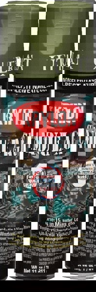 Direct to Plastic Spray Paint: Light Green, Flat, 12 oz