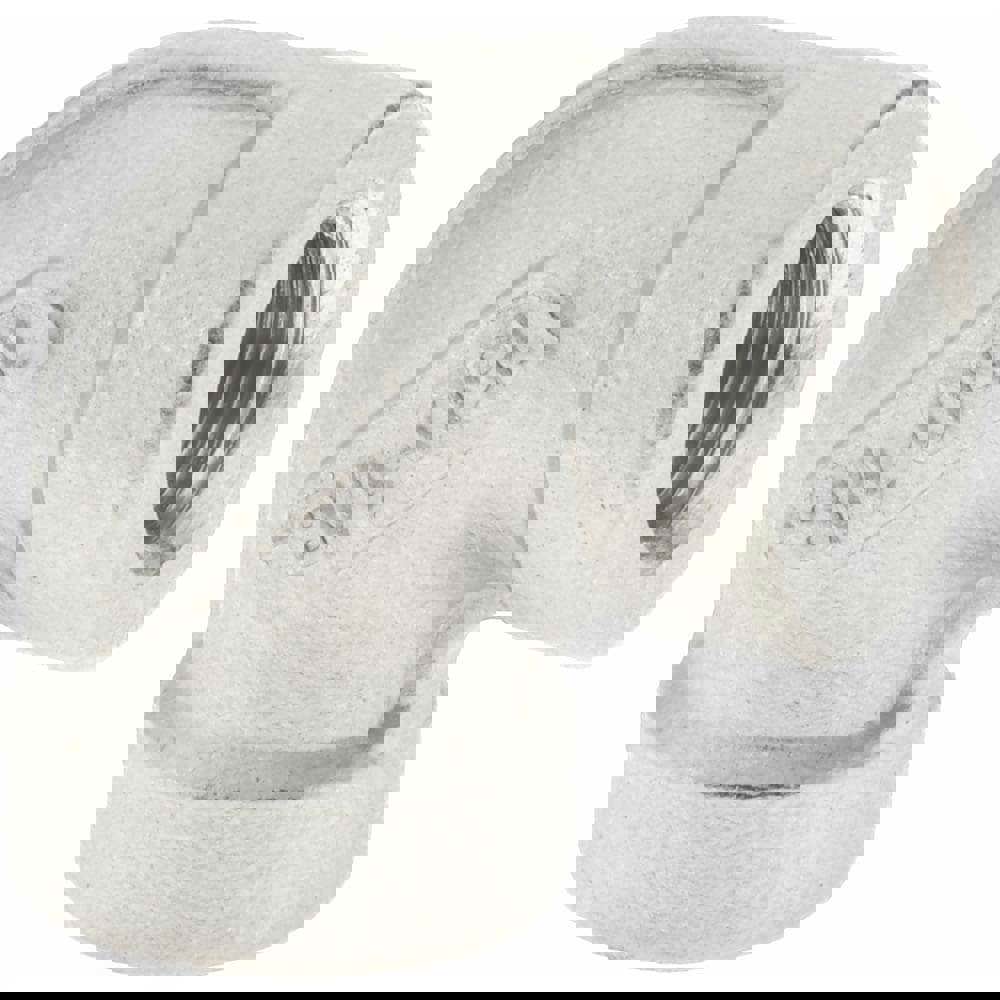 Pipe 90 &deg; Elbow: 1/8