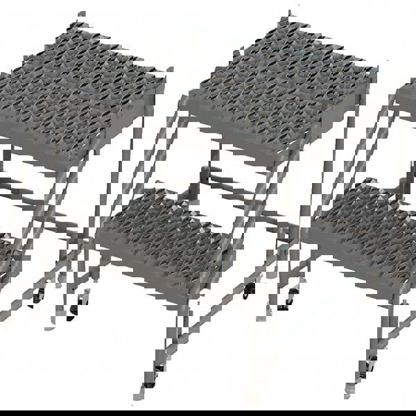 Steel Rolling Ladder: 2 Step