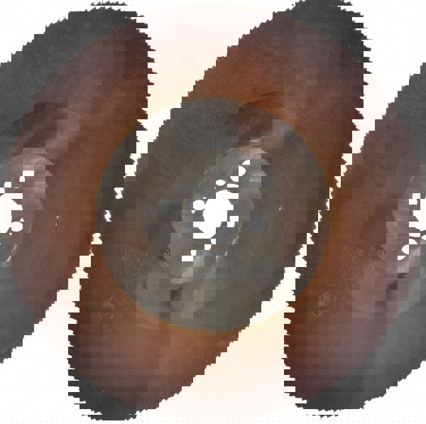 Cold Saw Blade: 315 mm Dia, 200 Teeth, High Speed Steel