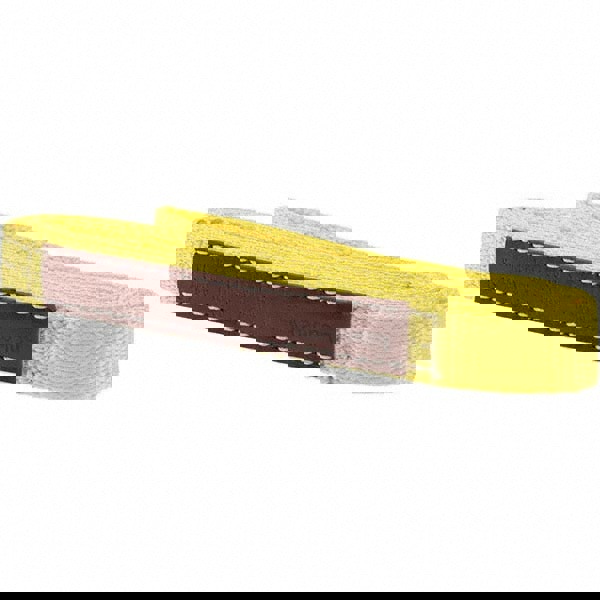 Eye & Eye Sling: 6' Long