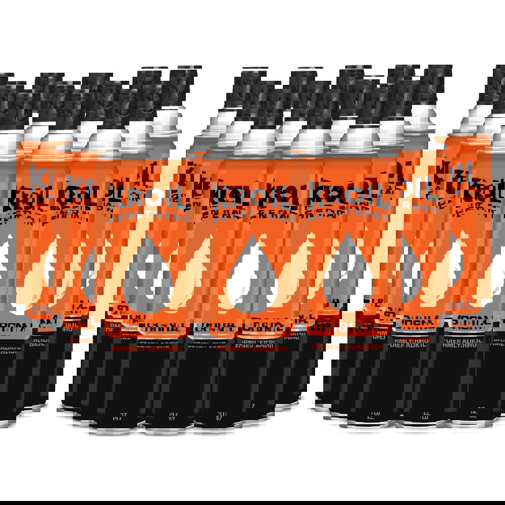 Lubricant: 13 oz Aerosol Can