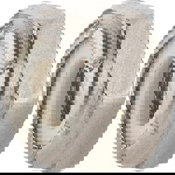 Hex Lock Nut: Nylon Insert, Nylon Insert, 1/4-20, Grade 18-8 Stainless Steel