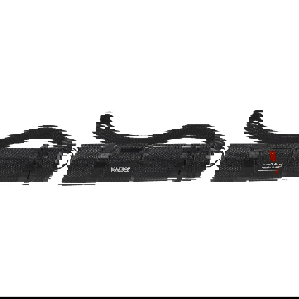 Handheld Flashlight: LED, AA Battery