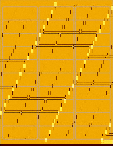Label Maker Label: Fluorescent Orange, Paper, 2-5/8