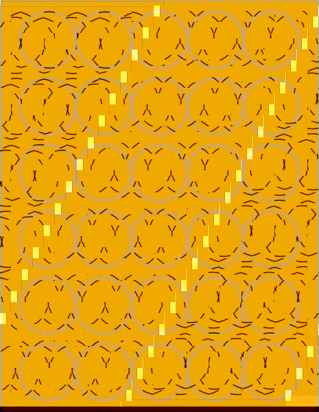 Label Maker Label: Fluorescent Orange, Paper, 1-1/2