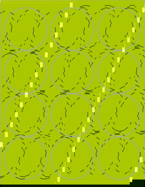 Label Maker Label: Fluorescent Green, Paper, 2-1/2