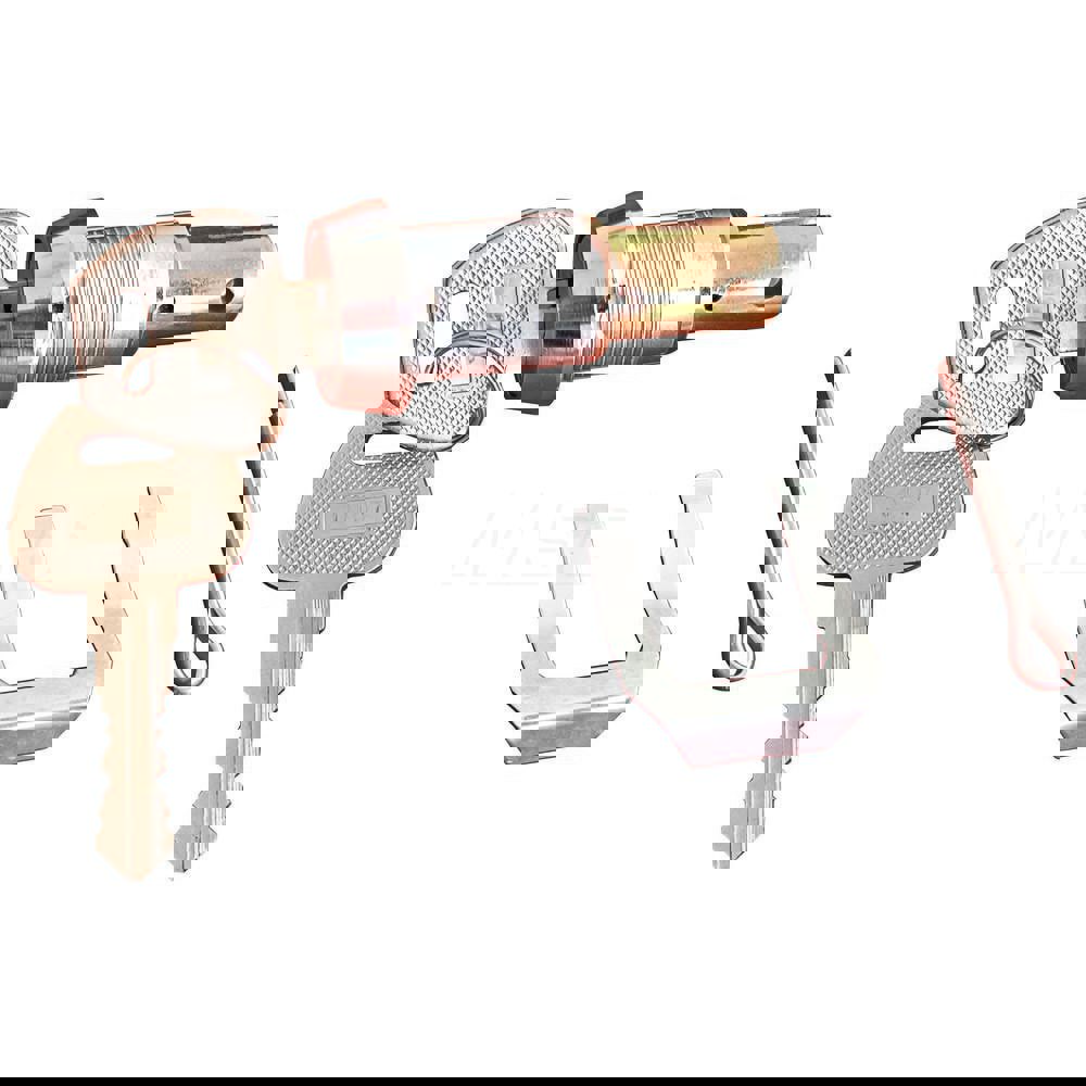 Tool Case Lock Set: Chrome