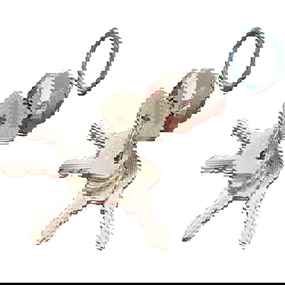 Tool Case Lock Set: Chrome