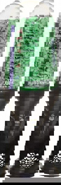 Earplugs: 30 dB, Polyurethane, Bell, No Roll, Uncorded