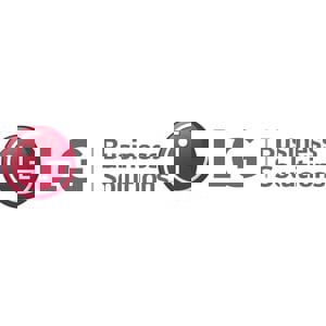 1.25MM PEAK1 600NIT TYP800NIT COB 600X33