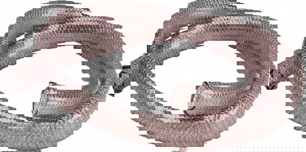 Discharge Hose for Nonflammables