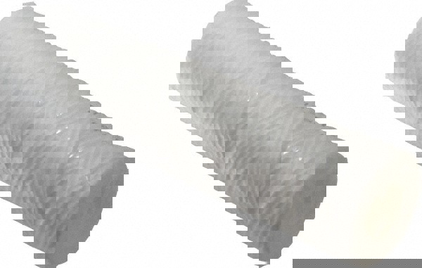 Plumbing Cartridge Filter: 2-1/2