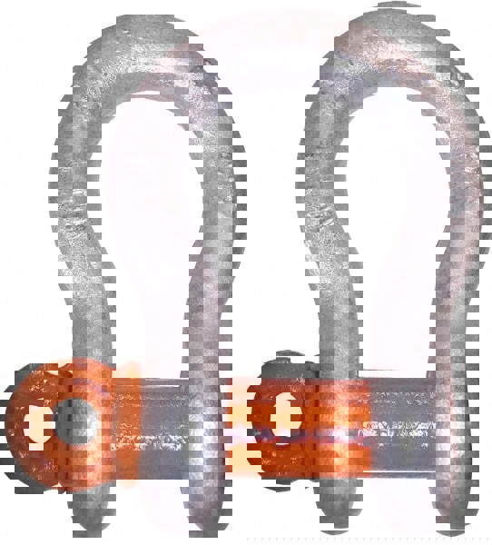 Anchor Shackle: Screw Pin