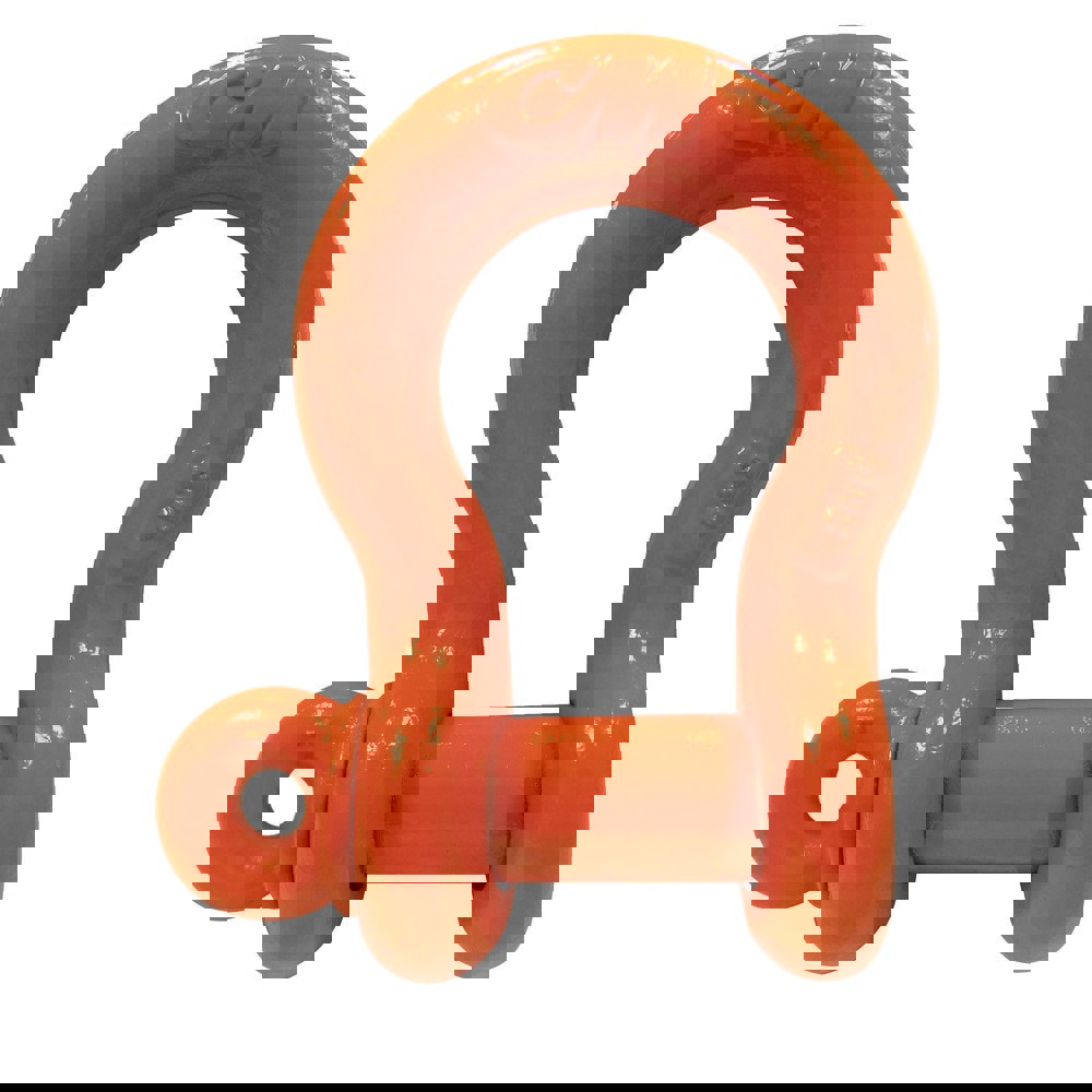 Anchor Shackle: Screw Pin