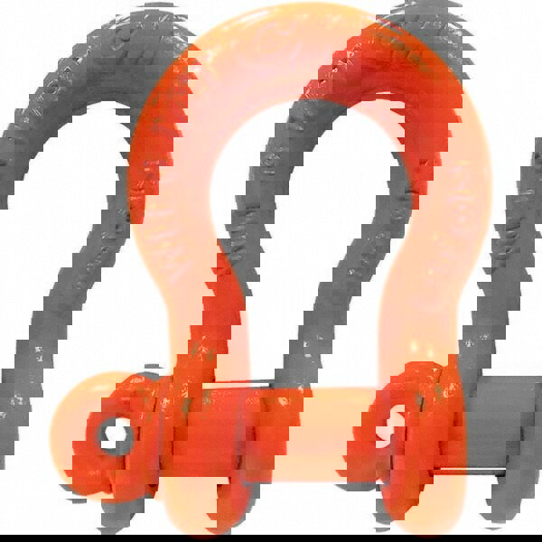 Anchor Shackle: Screw Pin