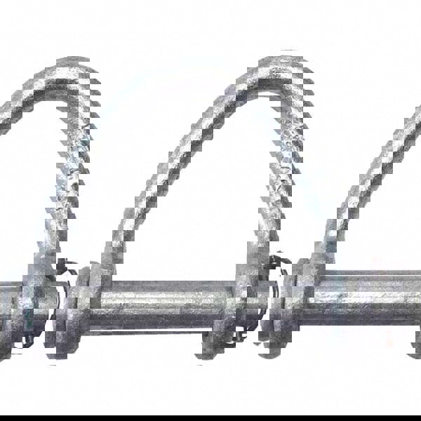 Web Sling Shackle: Bolt Nut & Cutter Pin