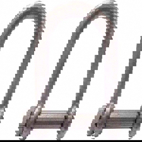 Chain Shackle: Screw Pin