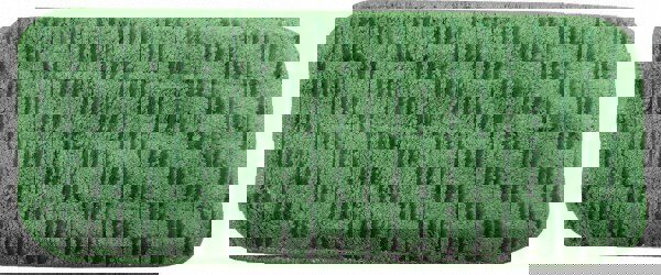 Wet Mop Pad: Quick Change, Green Mop, Microfiber