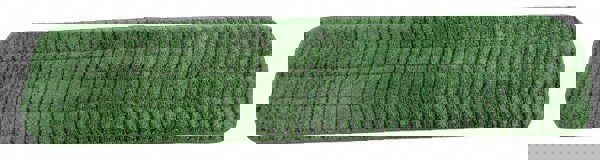 Wet Mop Pad: Quick Change, Green Mop, Microfiber