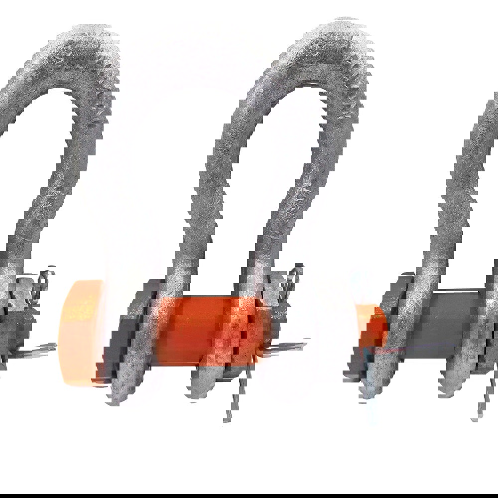 Anchor Shackle: Bolt Pin