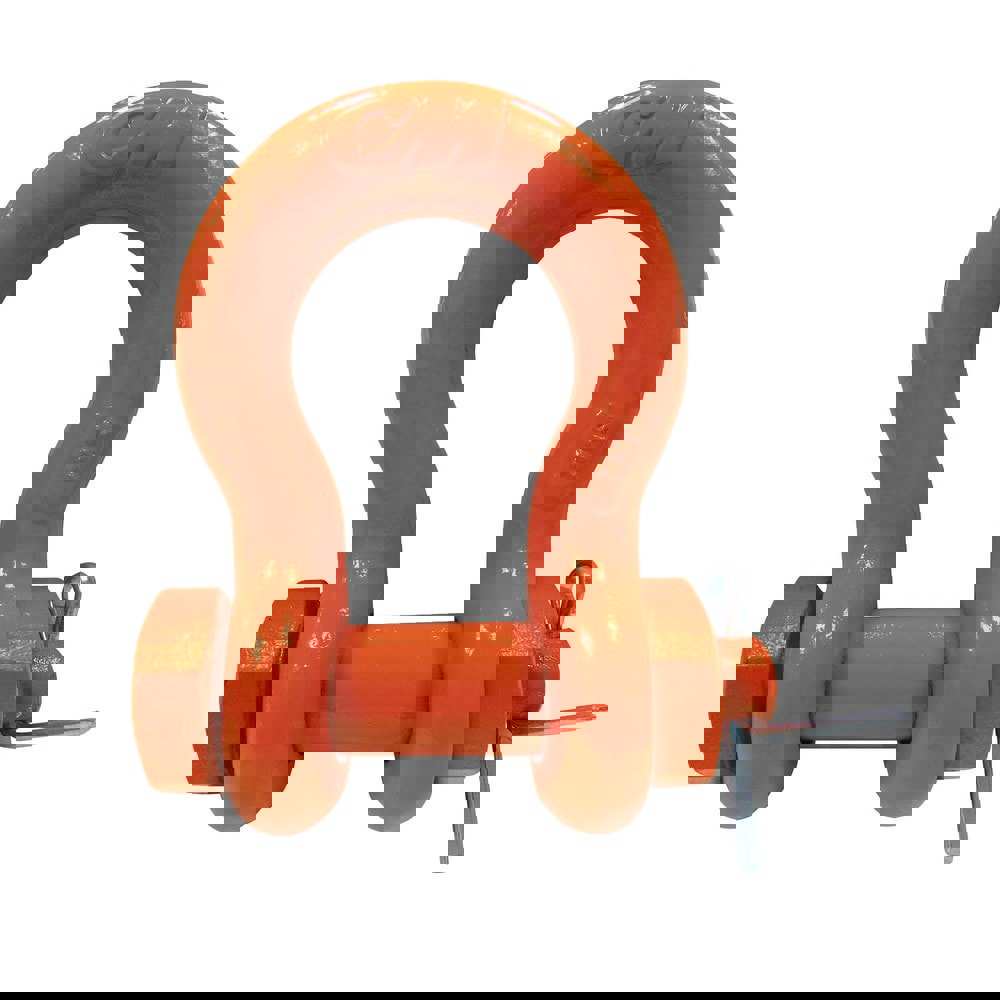 Anchor Shackle: Bolt Pin