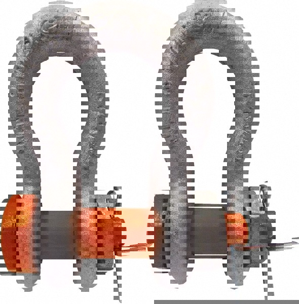 Anchor Shackle: Bolt Pin