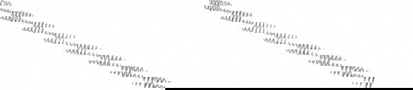 Cut-to-Length Compression Spring: 0.254