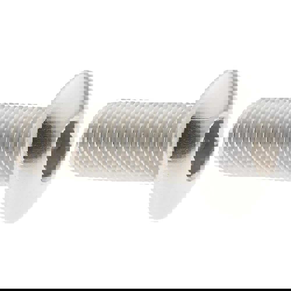 Button Socket Cap Screw: Stainless Steel