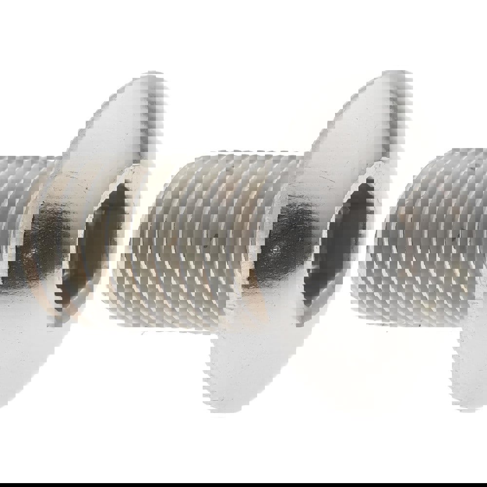 Button Socket Cap Screw: Stainless Steel