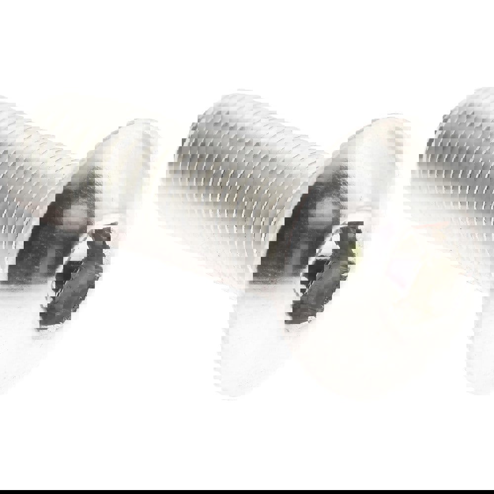 Button Socket Cap Screw: Stainless Steel