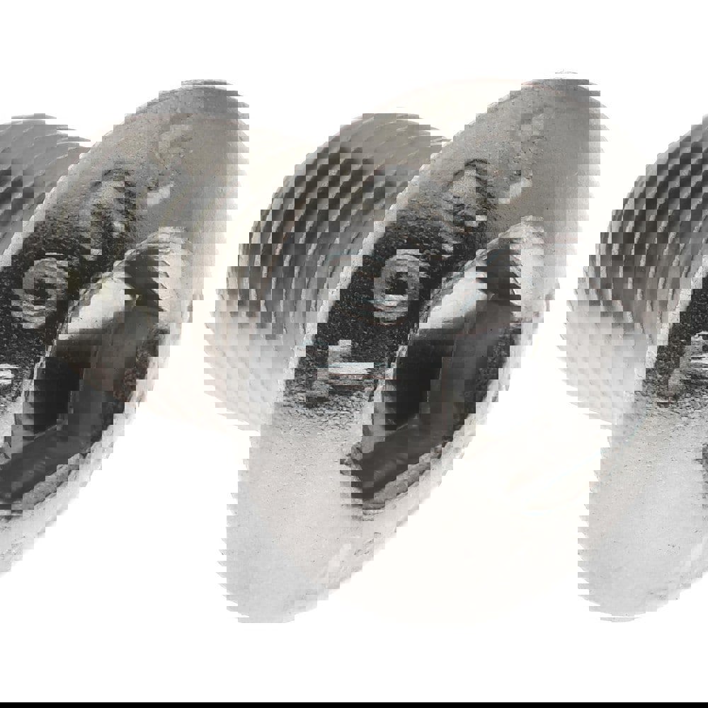 Button Socket Cap Screw: Stainless Steel