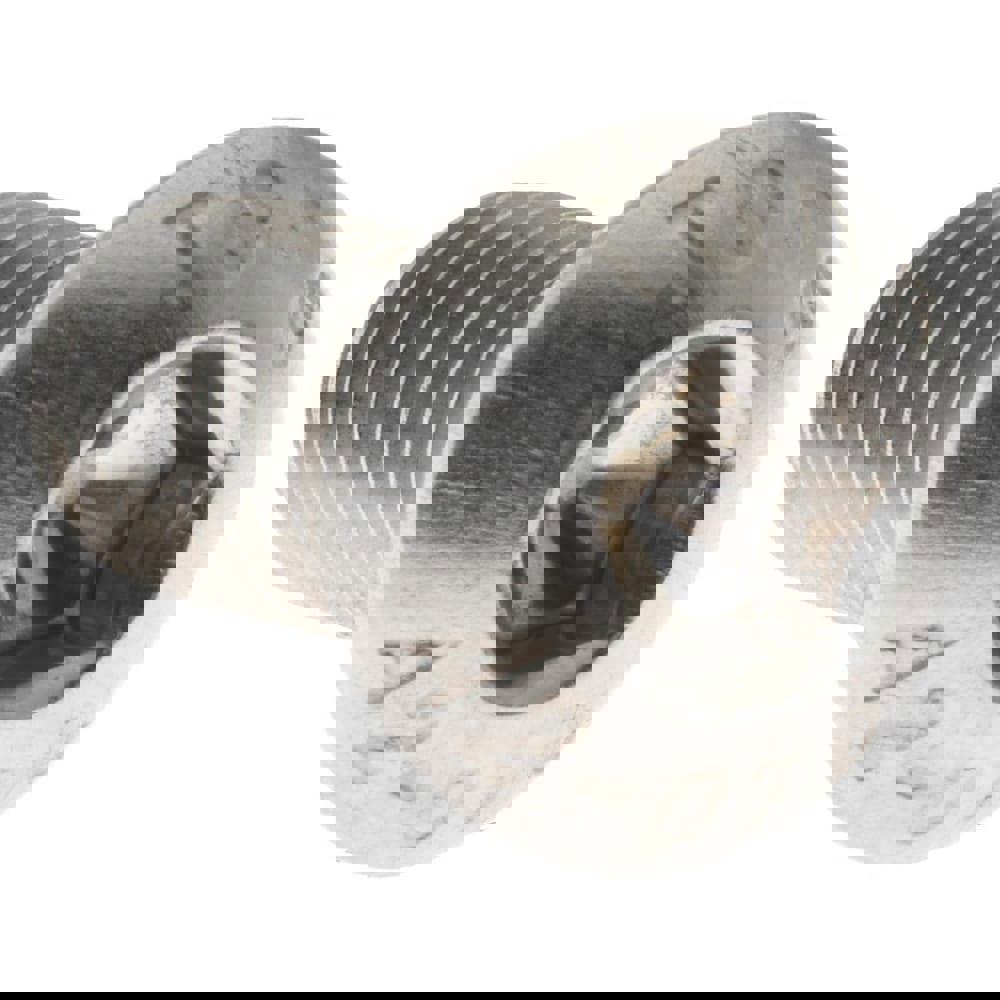 Button Socket Cap Screw: Stainless Steel