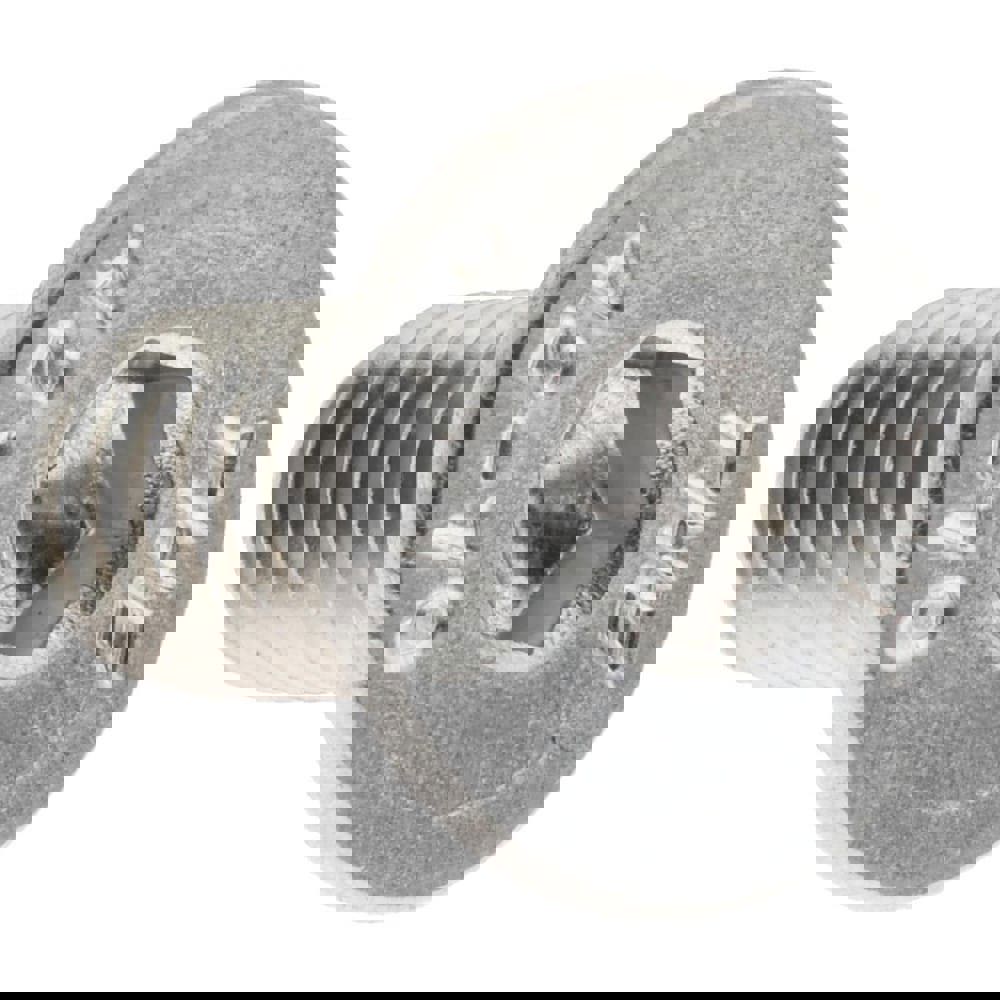 Flat Socket Cap Screw: M6x1, 18-8 Stainless Steel