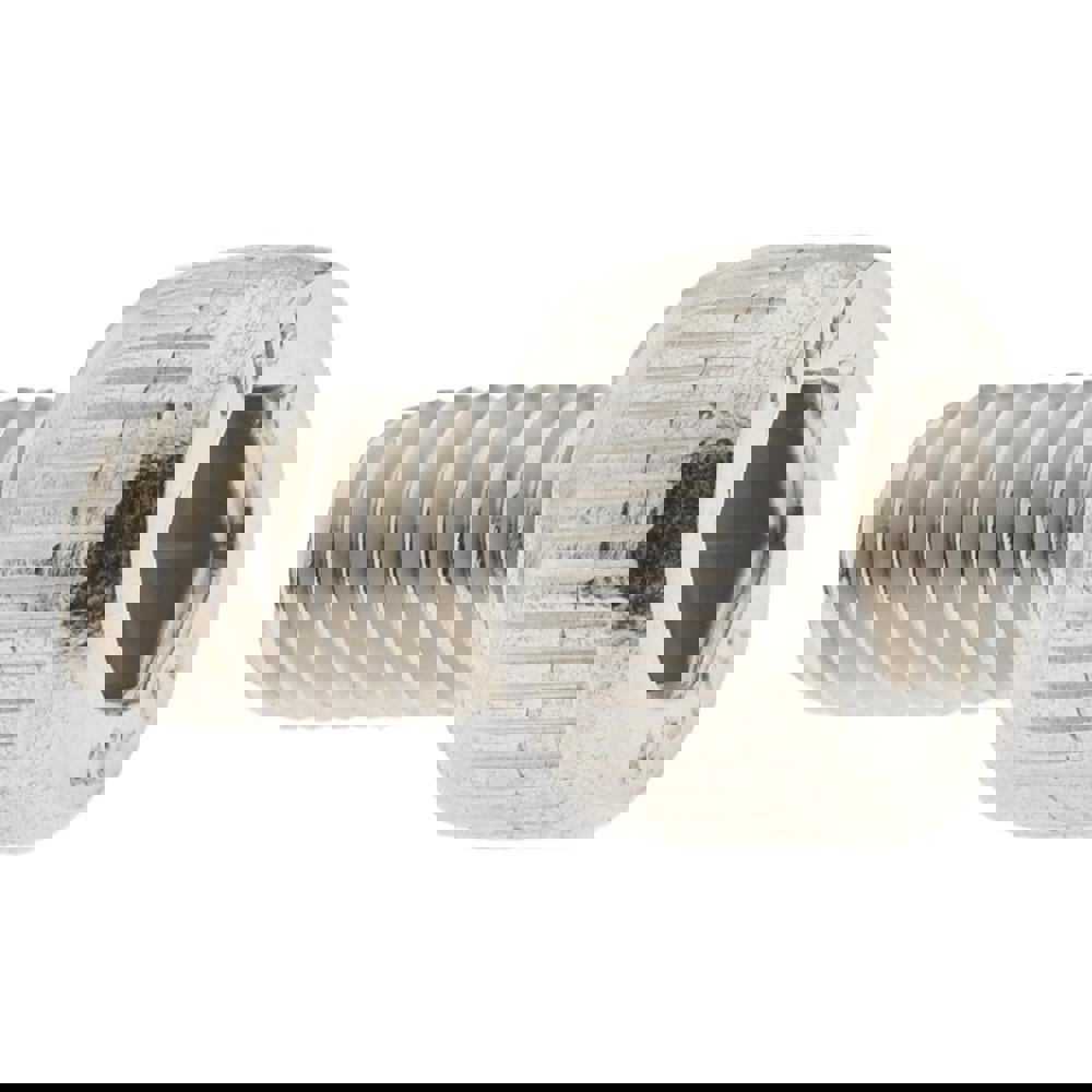 Socket Cap Screw: M5 x 0.8, 8 mm Length Under Head, Socket Cap Head, Hex Socket Drive, Stainless Steel