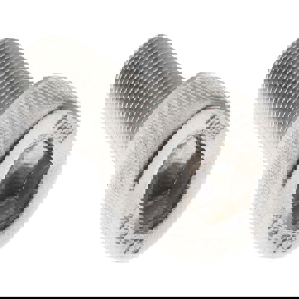 Socket Cap Screw: M5 x 0.8, 12 mm Length Under Head, Socket Cap Head, Hex Socket Drive, Stainless Steel