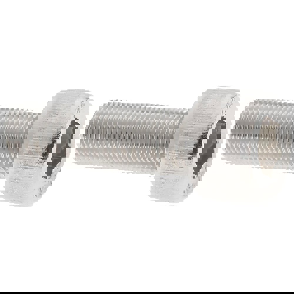 Socket Cap Screw: M5 x 0.8, 16 mm Length Under Head, Socket Cap Head, Hex Socket Drive, Stainless Steel