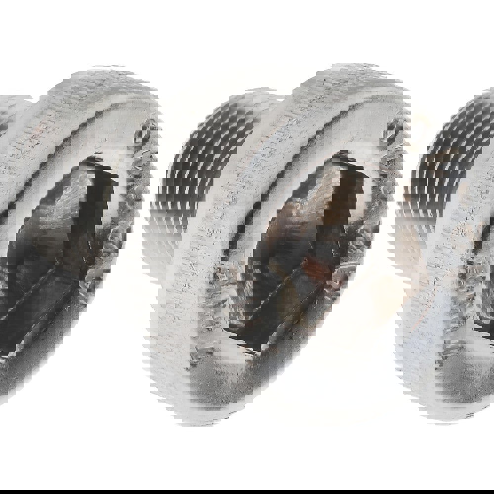 Socket Cap Screw: M6 x 1, 10 mm Length Under Head, Socket Cap Head, Hex Socket Drive, Stainless Steel