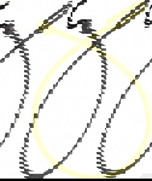 Loop End Bungee Cord Tie Down: Overmolded Nylon Hook, Non-Load Rated