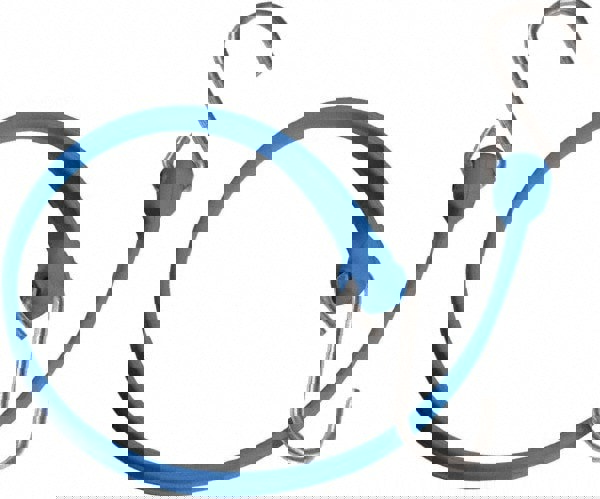 Heavy-Duty Bungee Strap Tie Down: Triangulated Galvanized S Hook, Non-Load Rated