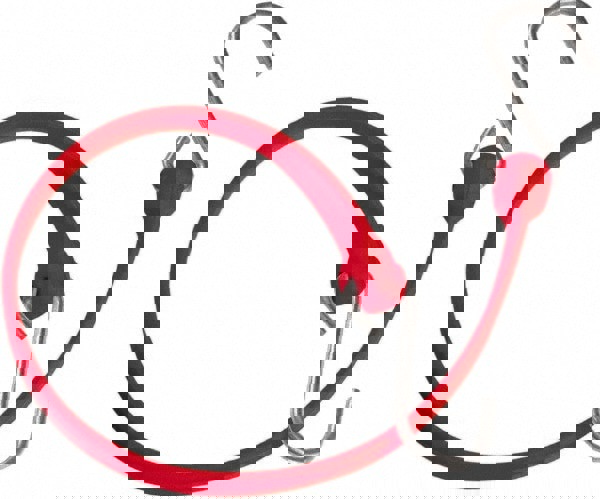 Heavy-Duty Bungee Strap Tie Down: Triangulated Galvanized S Hook, Non-Load Rated