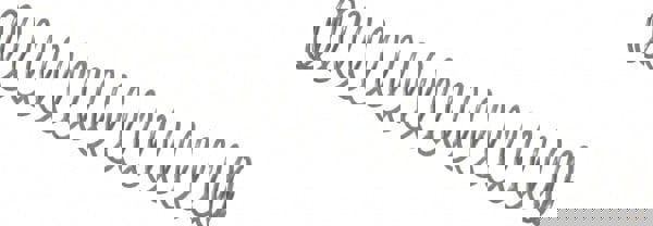 Compression Spring: 5.4 mm OD, 53 mm Free Length