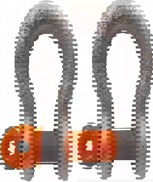 Anchor Shackle: Screw Pin